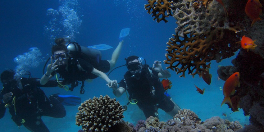 A tiny yet vibrant island offering snorkelling, white sandy beaches, and an abundance of marine life.