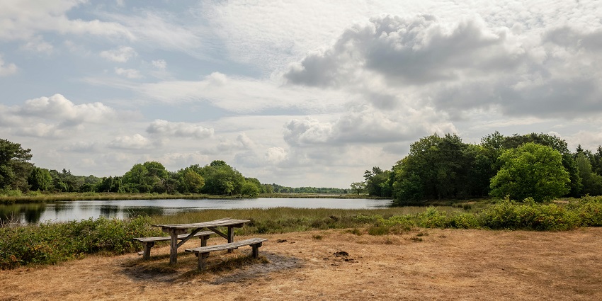 A peaceful outdoor experience, enjoying fresh air, scenic views, and soothing sound.