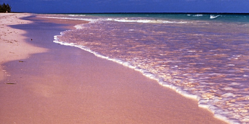 A serene shoreline with pastel pink sand and crystal-clear waves at one of the Bahamas beaches