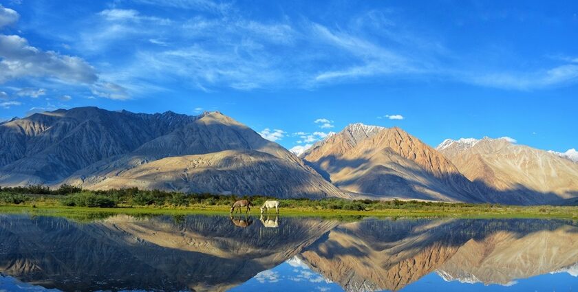 An image of snow-capped mountains of Ladakh - best places to visit in August in North India