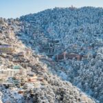 Snapshot of the Shimla city on hills covered in snow and surrounded by snow laden trees