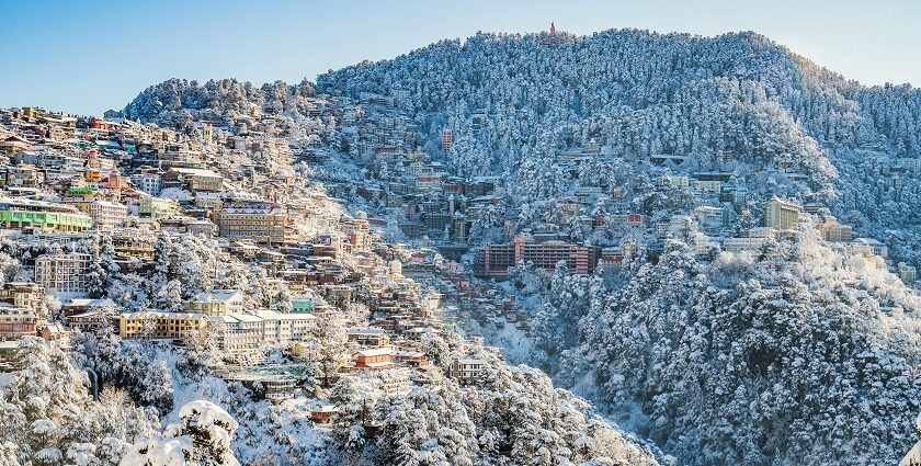 Snapshot of the Shimla city on hills covered in snow and surrounded by snow laden trees