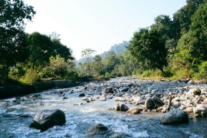 Explore the places to visit in Jim Corbett, Uttarakhand, to inhale the essence of nature.