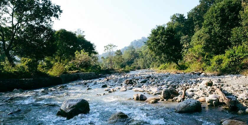 Explore the places to visit in Jim Corbett, Uttarakhand, to inhale the essence of nature.