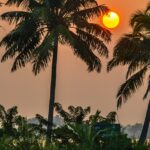 Beautiful view of the backwaters in Kerala during sunset with the coconut trees in sight.