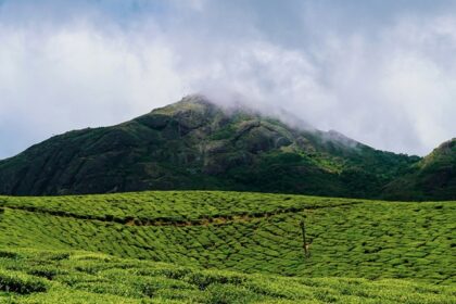 Birds flying above the sea at a mystical place to visit in June in south India