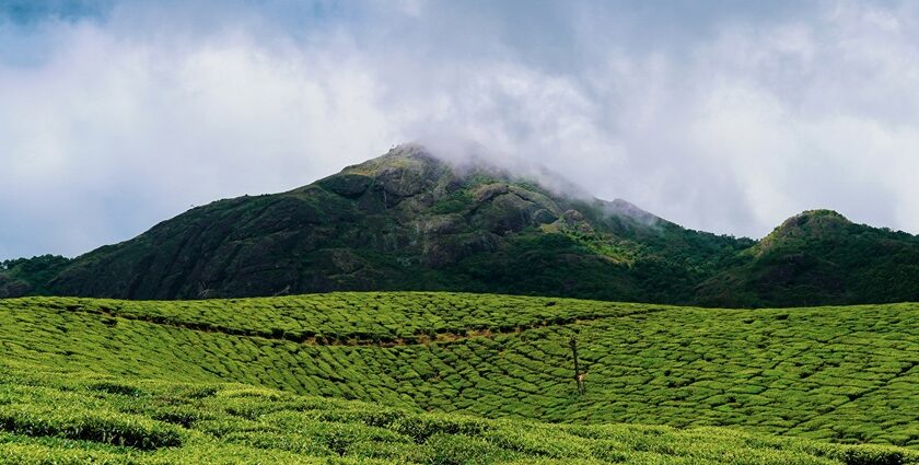 Birds flying above the sea at a mystical place to visit in June in south India