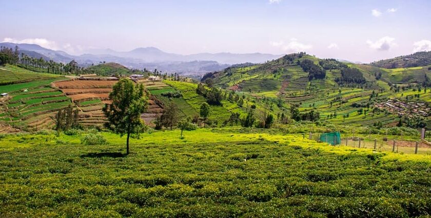 Explore the beautiful destinations in the best places to visit in May in South India.