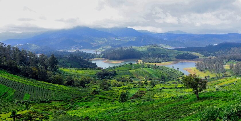 An image showing Ooty, Tamil Nadu, India, one of the places to visit in South India in March.