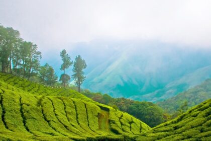 An image of Munnar Top, one of the best places to visit in summer in India with friends