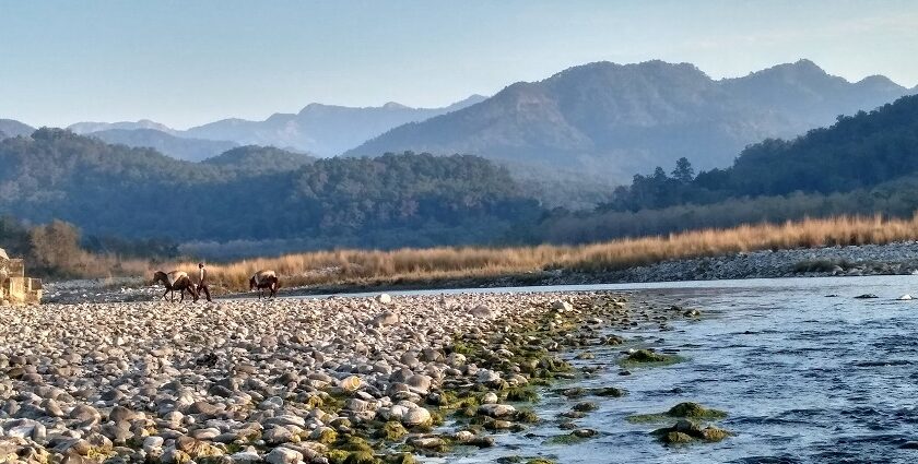 Explore Kosi River, one of the best places to visit near Ramnagar.