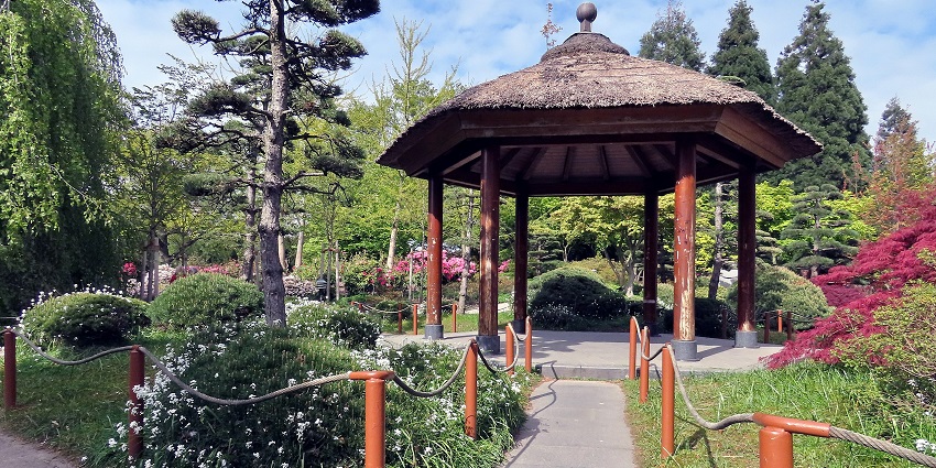An image showing the peaceful Japanischer Garten in Planten un Blomen, Hamburg.