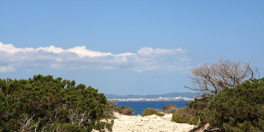 Es Cavallet Beach is the best option for naturists, beach partygoers, and adventurers.