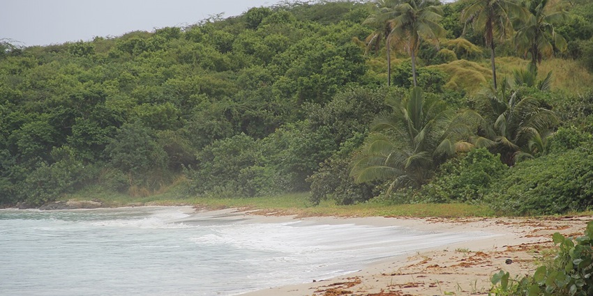 An image of a beach with gentle waves lapping the shore similar to Playa Datiles Beach