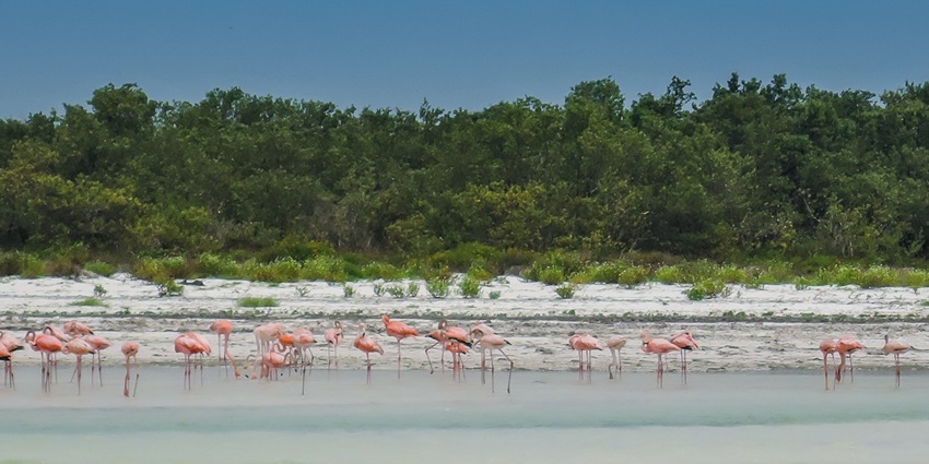 A breathtaking beach with clear water and unspoiled landscapes.
