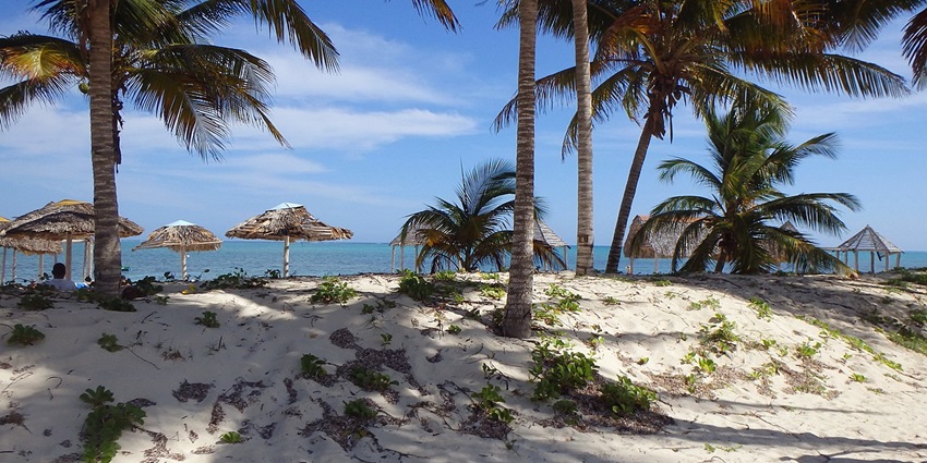 A long beach with lush greenery, and calm waters, ideal for swimming and diving.