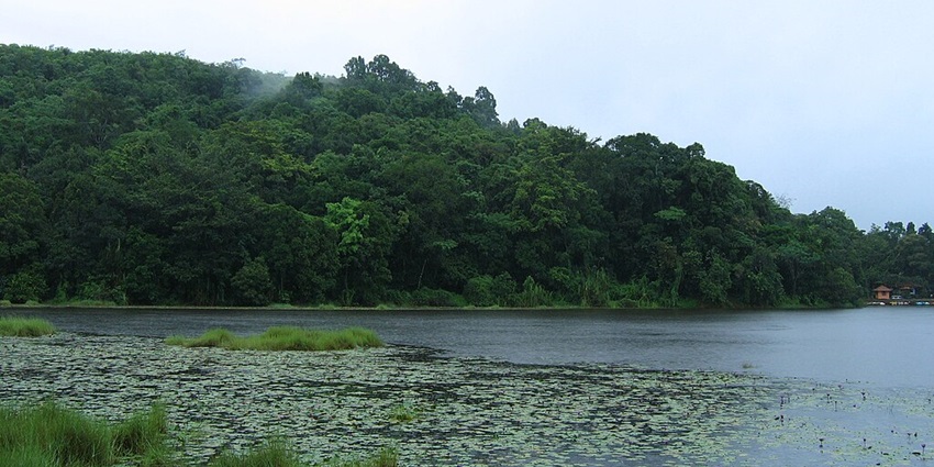 An image of Pookode Lake, a stunning freshwater lake in Wayanad surrounded by lush greenery.