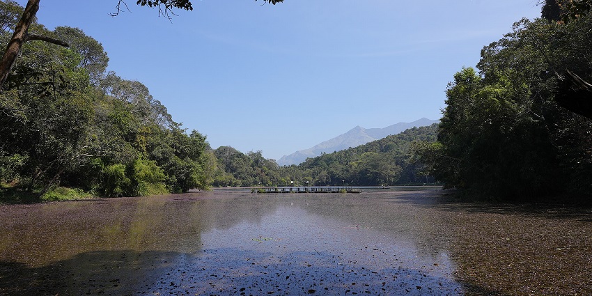 An image of Pookode Lake, one of the lakes in Kerala with misty hills in the background.