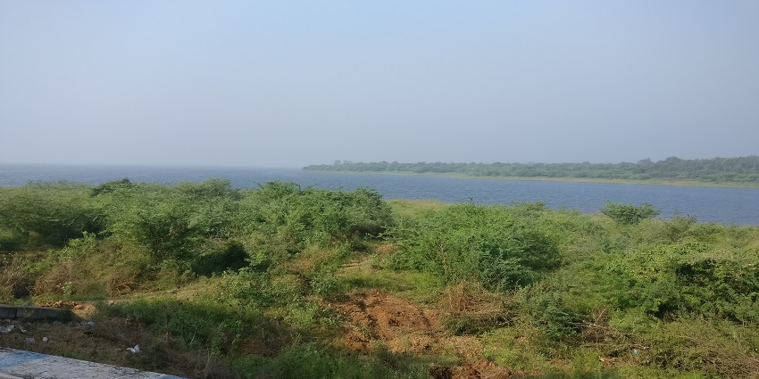 An image of Poondi Lake in Tamil Nadu with a calm water surface and a distant dam view.