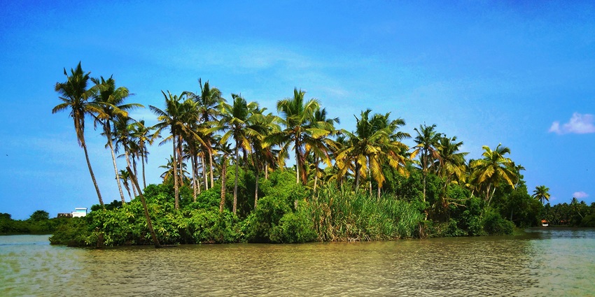 One of the most calm places to visit in July in South India is Poovar.