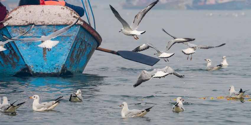 A picture of the Triveni Sangam in Allahabad, the confluence of three sacred rivers.