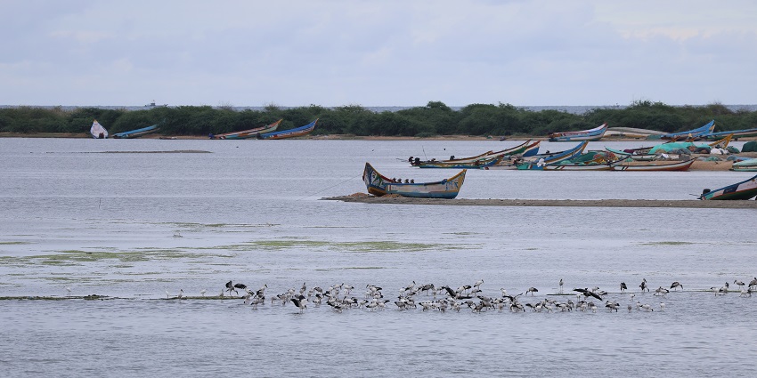 An image of Pulicat Lake, one of the common lakes in Tamil Nadu, with calm waters.