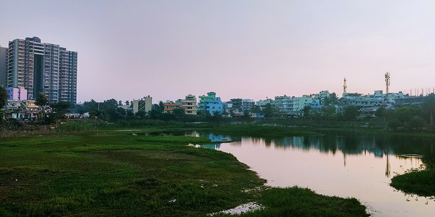 A small ecologically rich lake with clear water, dense tree cover, and a variety of bird species.