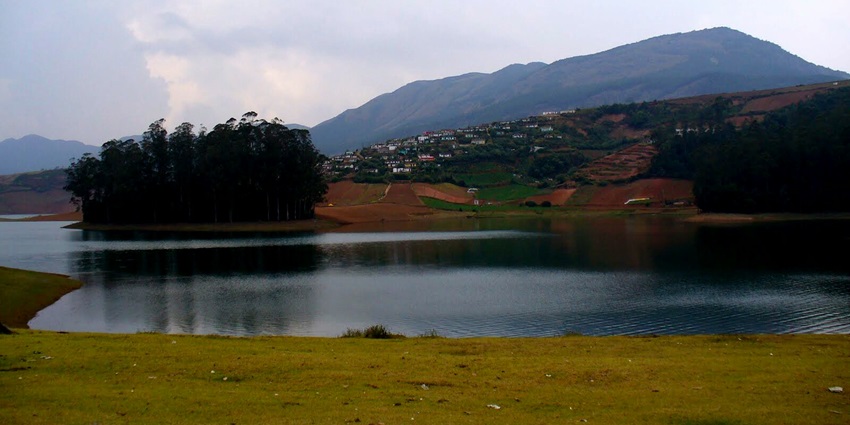 Lakes in Chennai, with great Blue Heron flying over it