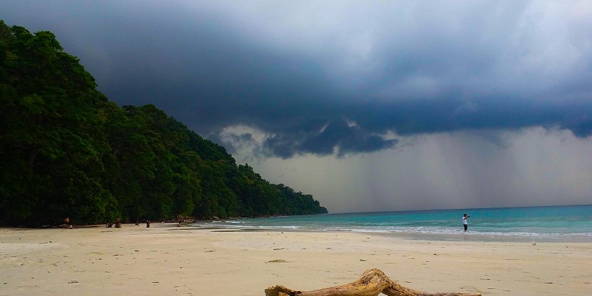 An image of the Radhanagar Beach with a log, ocean waves, and dark storm clouds in the sky