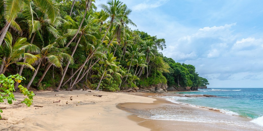 An image of Radhanagar, one of the top 10 beaches in India with blue water and natural beauty.