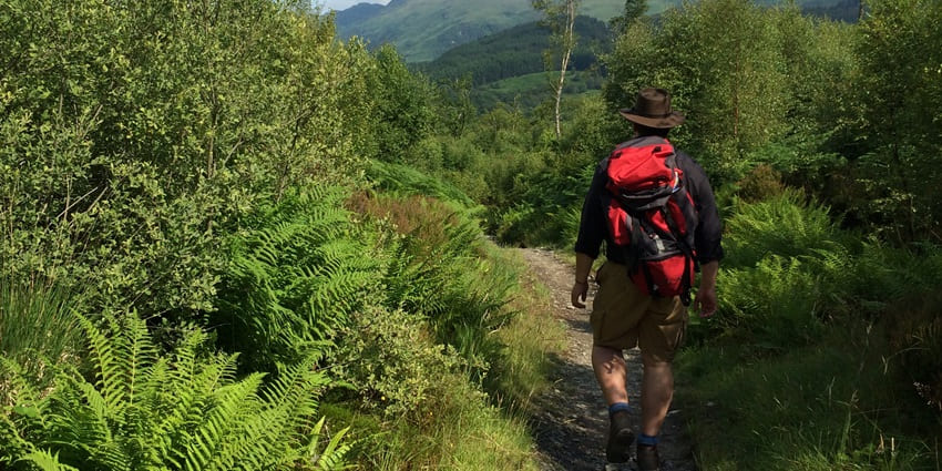 Trek through lush Amazonian trails, encountering exotic plants, towering trees, and vibrant wildlife in an untouched ecosystem.