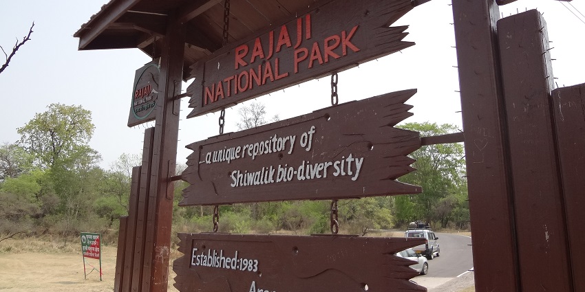 An image of Rajaji National Park, one of the best national parks in North India.