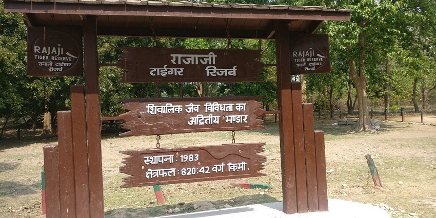 Dense forest in Rajaji National Park with tall trees, open grasslands, and wildlife trails