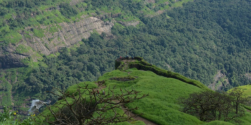 An image of Rajmachi Fort, a hill fortress in Maharashtra, surrounded by abundant vegetation