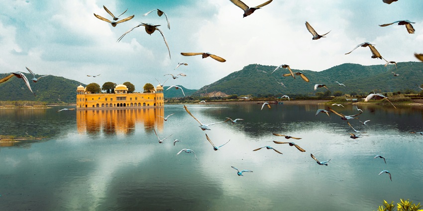 An image of serene artificial lake surrounded by lush landscapes and tranquillity.