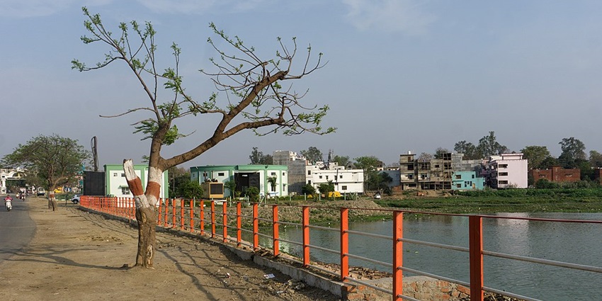 Trees line the bridge over Ramgarh Tal Lake in Uttar Pradesh’s Gorakhpur.