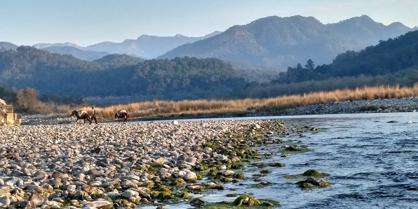 A view of the tranquil waters of the Kosi River in Ramnagar surrounded by greenery.