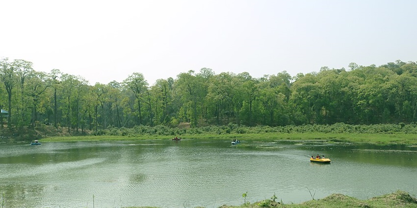Rani Lake, one of the best lakes in Madhya Pradesh, with a small greenish water body
