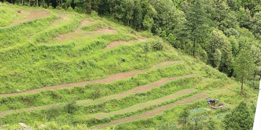 View of Ranikhet is a quaint hill station, known for its scenic beauty and old-world charm.
