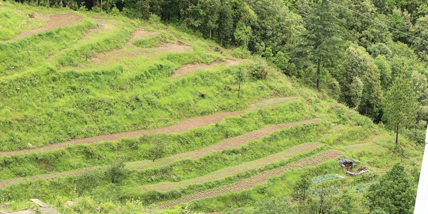 Ranikhet town is surrounded by green forests and breathtaking views of the Himalayas.