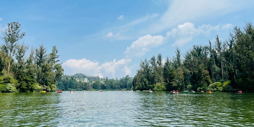 A distant view of Red Hills Lake shows birds in the foreground near Chennai, Tamil Nadu.