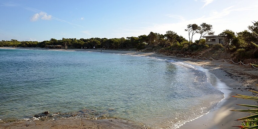Things to do in Ibiza- Unwind at the Ses Salines Beach