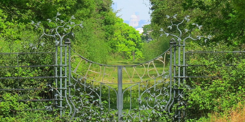 An image showing a scenic view of Richmond Park in London, with expansive greenery