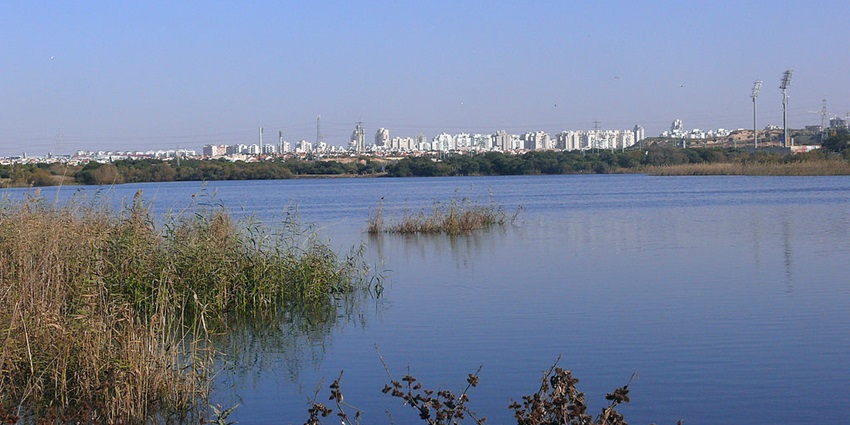Calm blue water Rishon Lezion with dense greenery and distant high-rise buildings.