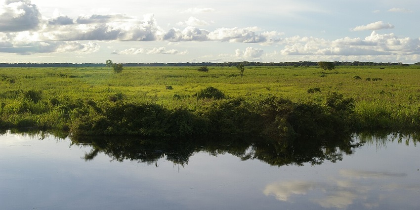 Take boat trips along the Beni and Tuichi rivers for scenic views and wildlife encounters.