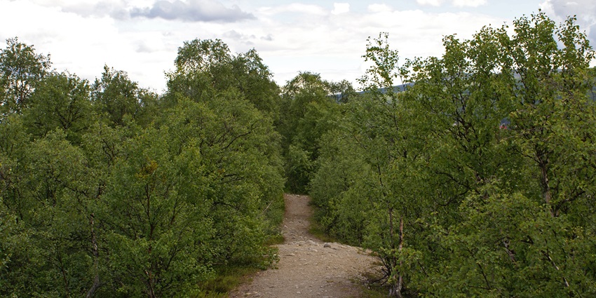 An image showing mesmerising Røros in Norway, with Glomma, a UNESCO World Heritage site