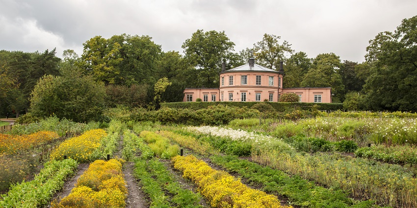 An image of Rosendals Trädgård, a serene garden near the museum in Stockholm.
