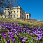 An image of a serene Royal Palace in Oslo, surrounded by beautiful flowers under a sunny sky.