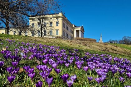 An image of a serene Royal Palace in Oslo, surrounded by beautiful flowers under a sunny sky.