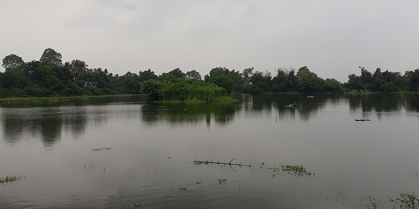 Lake in West Bengal with green shorelines and water weeds coming out of the lake